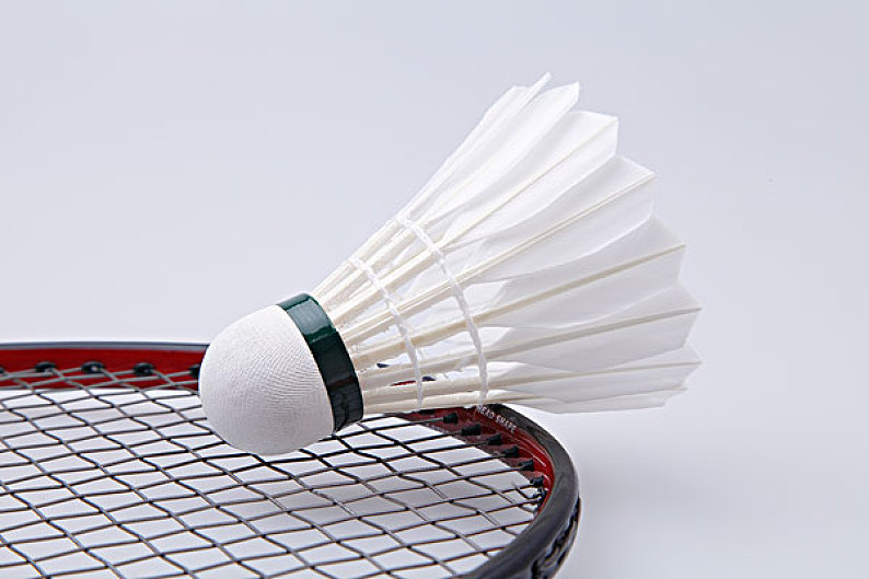 莱梅一个珍 莱梅一个珍