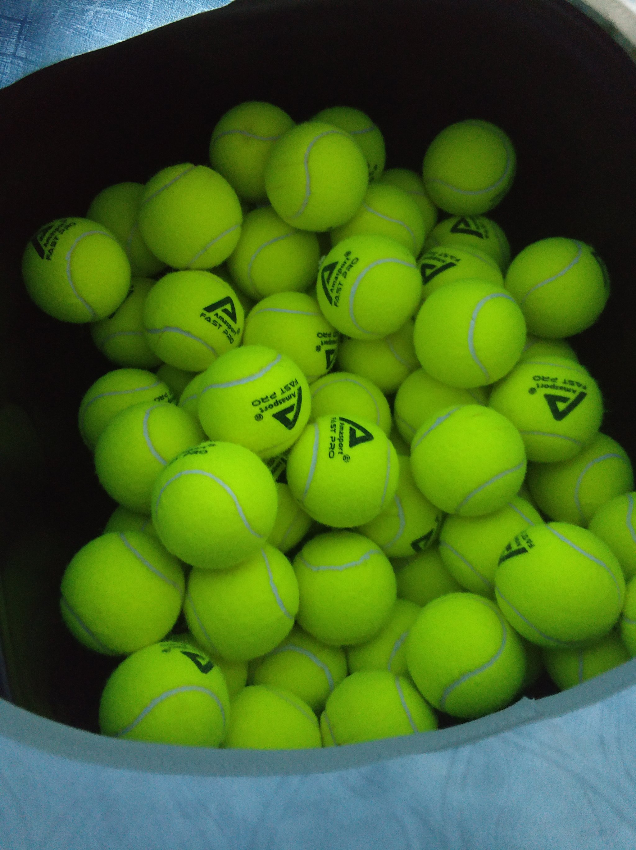 政策适用范 政策适用范