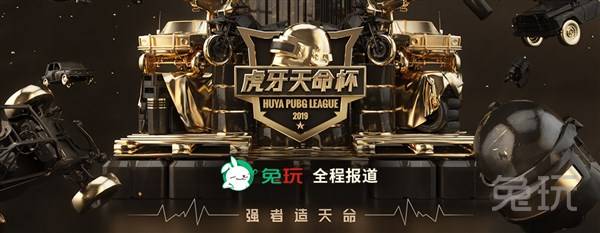 皮质密度